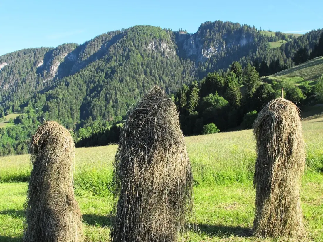 Résidence Fewo Bergblick