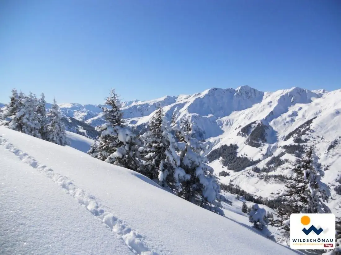 Résidence Fewo Bergblick