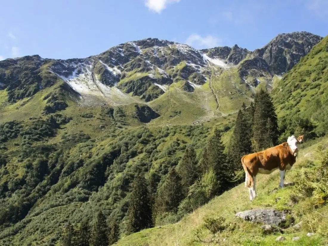 Résidence Luxuswohnung im Tiroler Almstil