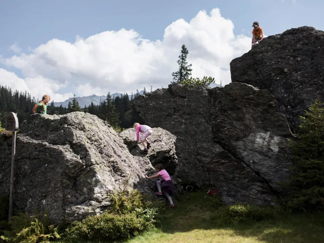 Résidence Luxuswohnung im Tiroler Almstil