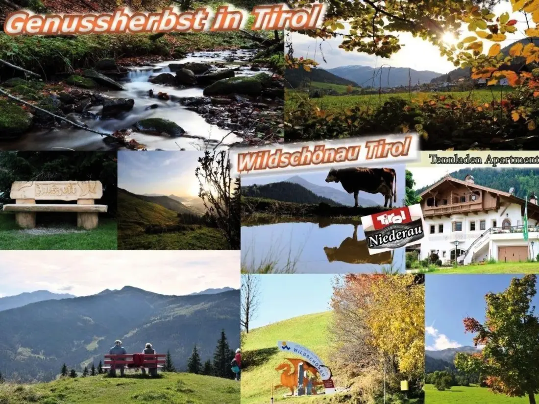 Résidence Luxuswohnung im Tiroler Almstil