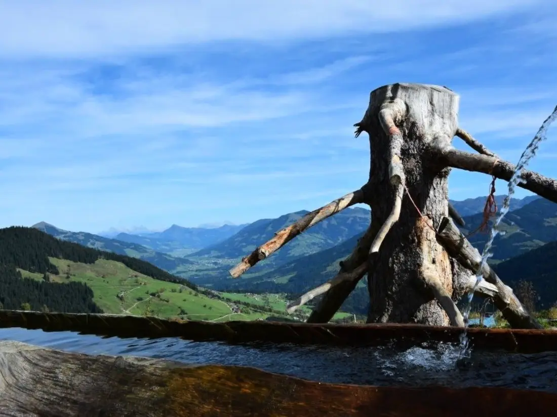 Résidence Luxuswohnung im Tiroler Almstil