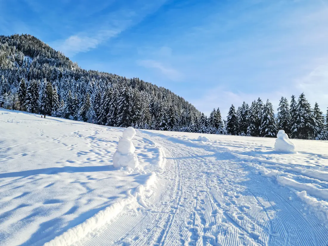 Résidence Alpine Qualitytime