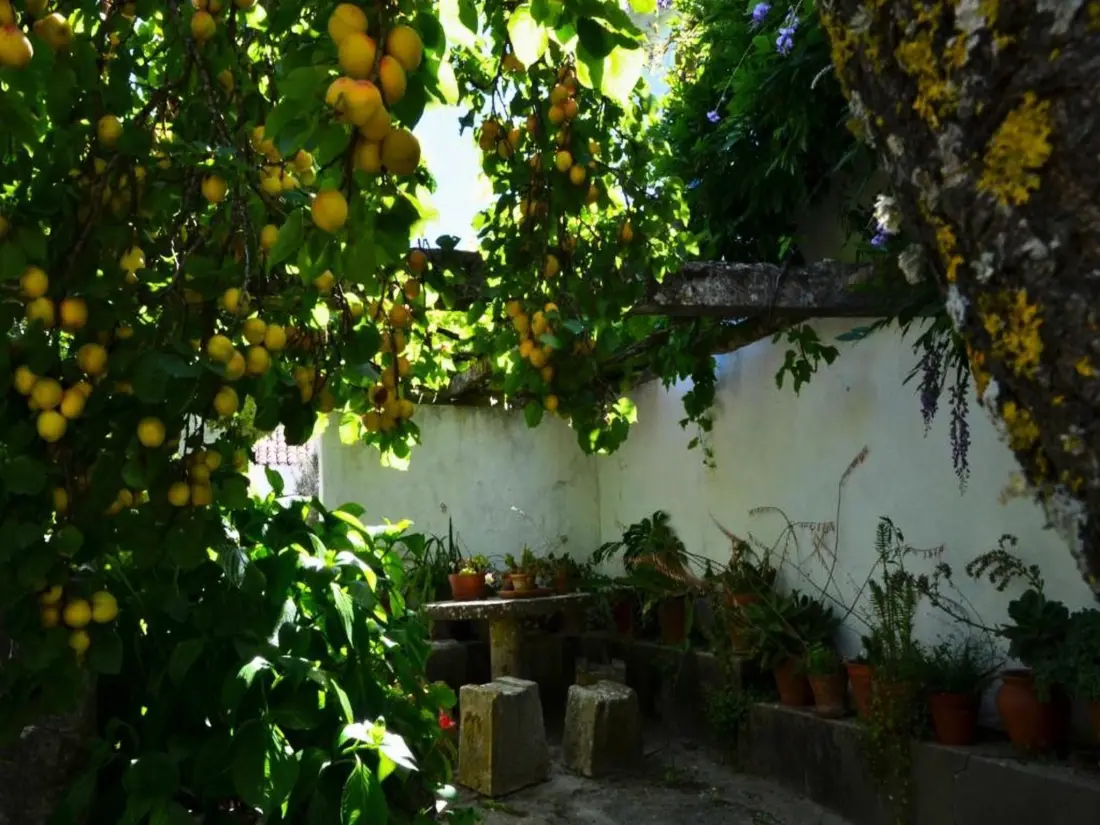 Maison de Vacances Obidos