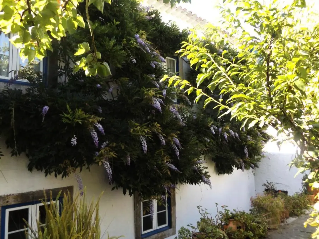Maison de Vacances Obidos