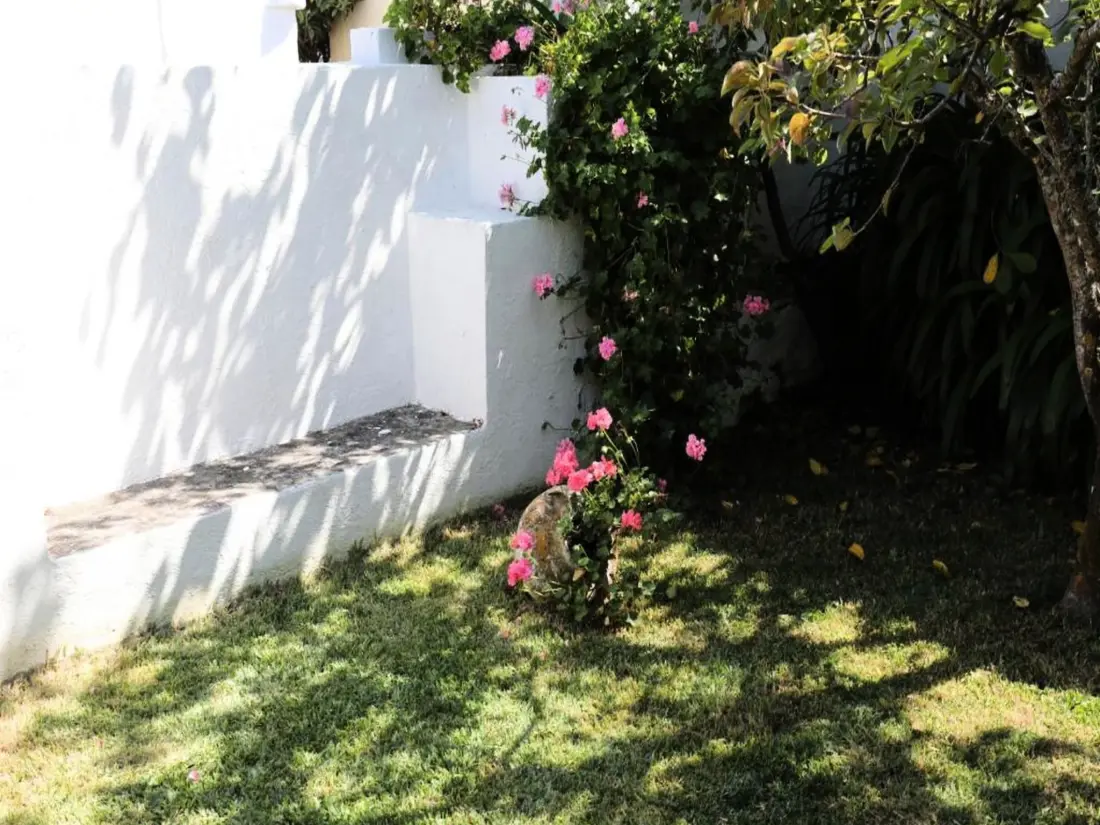 Maison de Vacances Obidos