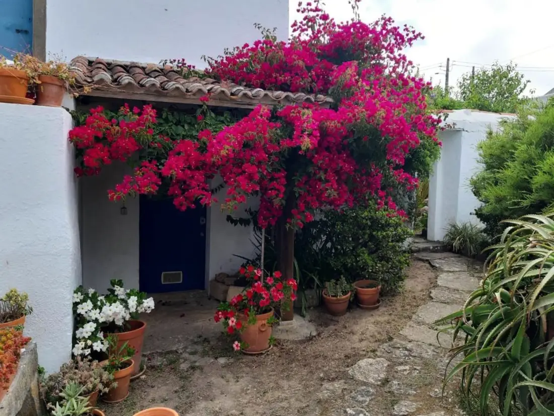 Maison de Vacances Obidos