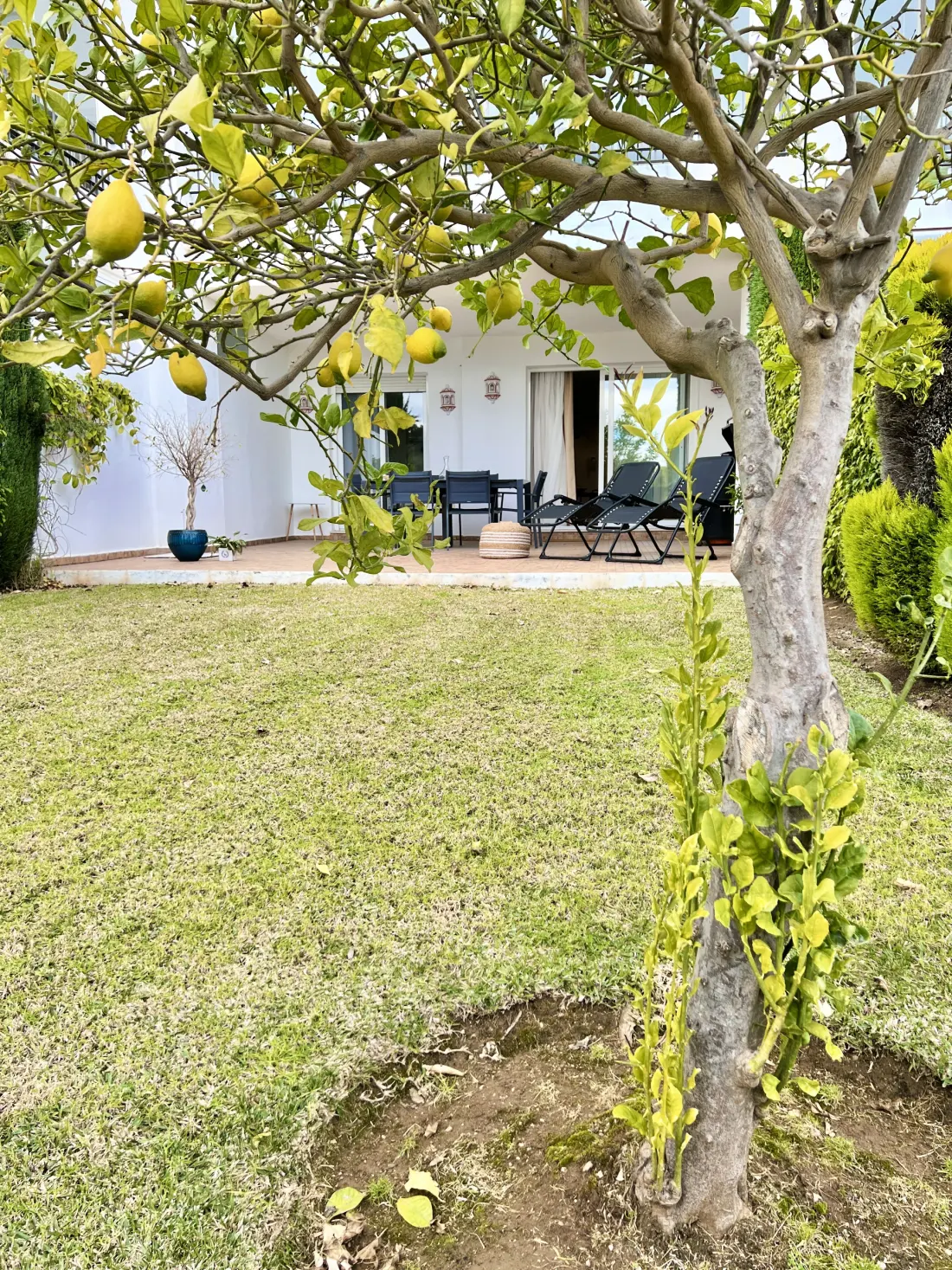 Appartements à Ojen