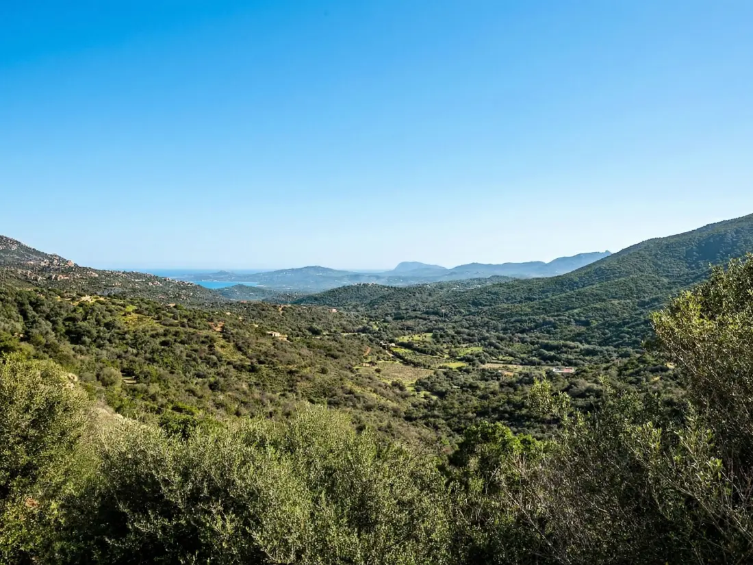 Maison de Vacances Olbia