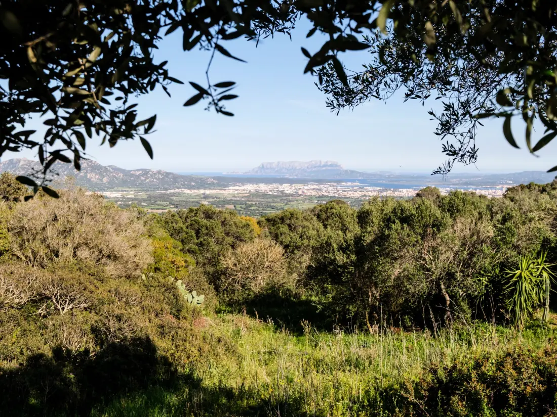 Maison de Vacances Olbia