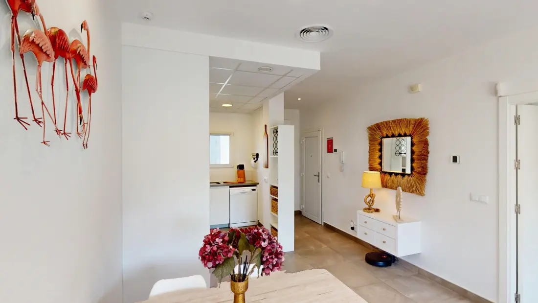 Appartements à Oliva