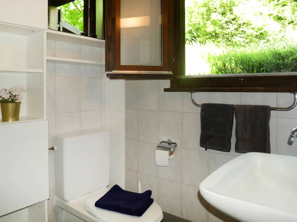 Maison de Vacances Olivone