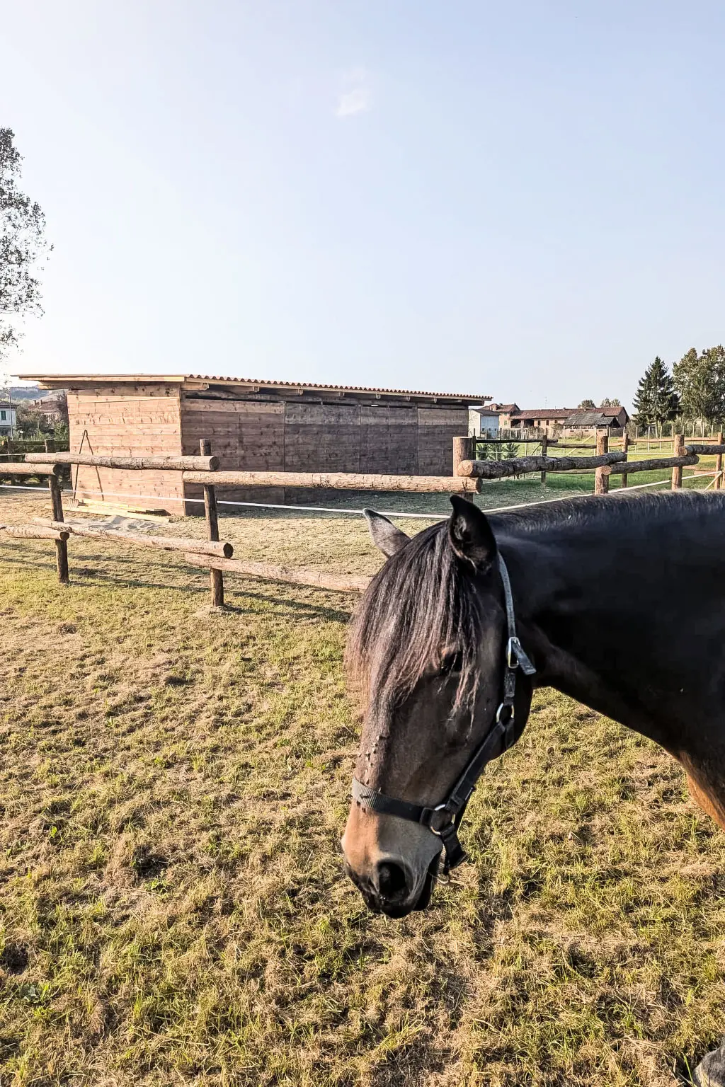 Résidence Tenuta Beatrice