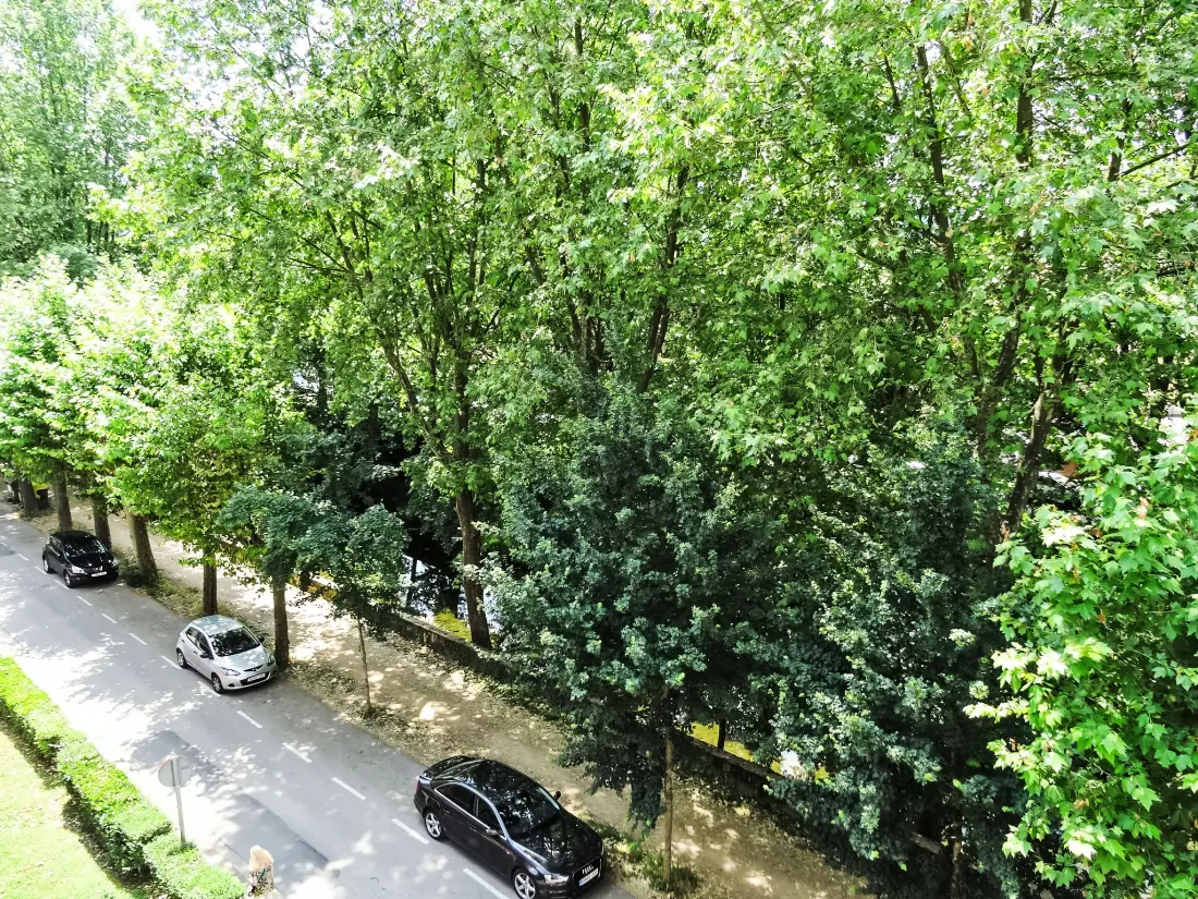 Résidence Olot