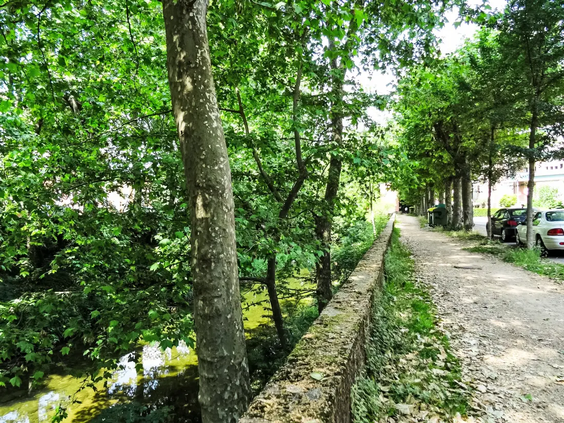 Résidence Olot