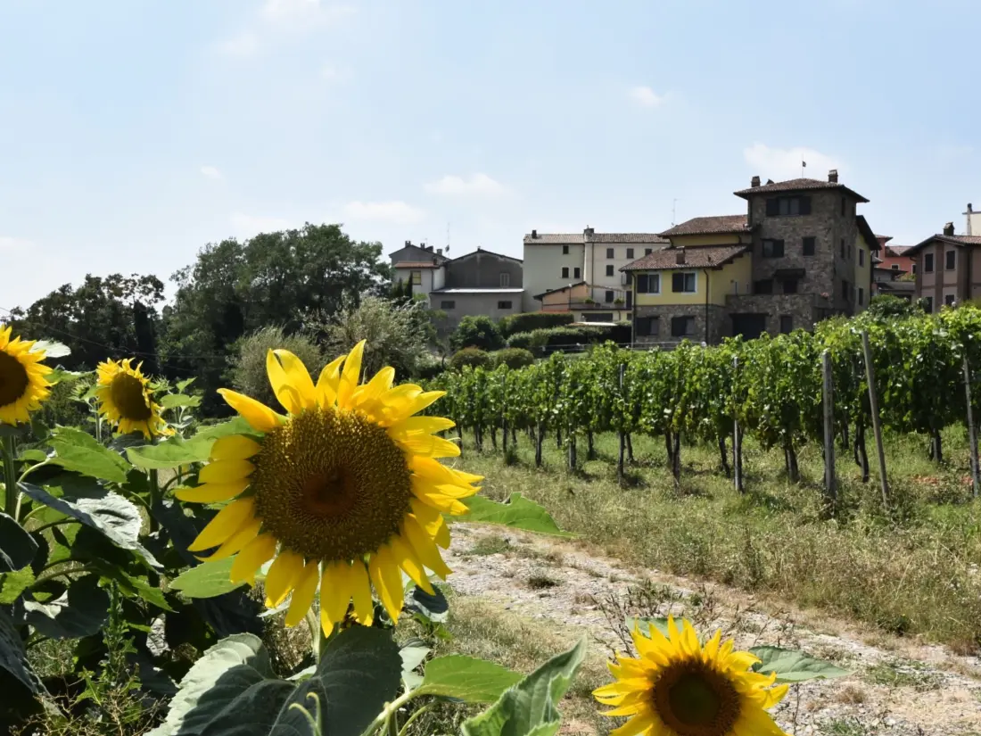 Résidence La Corte Bricca (Bilo C)
