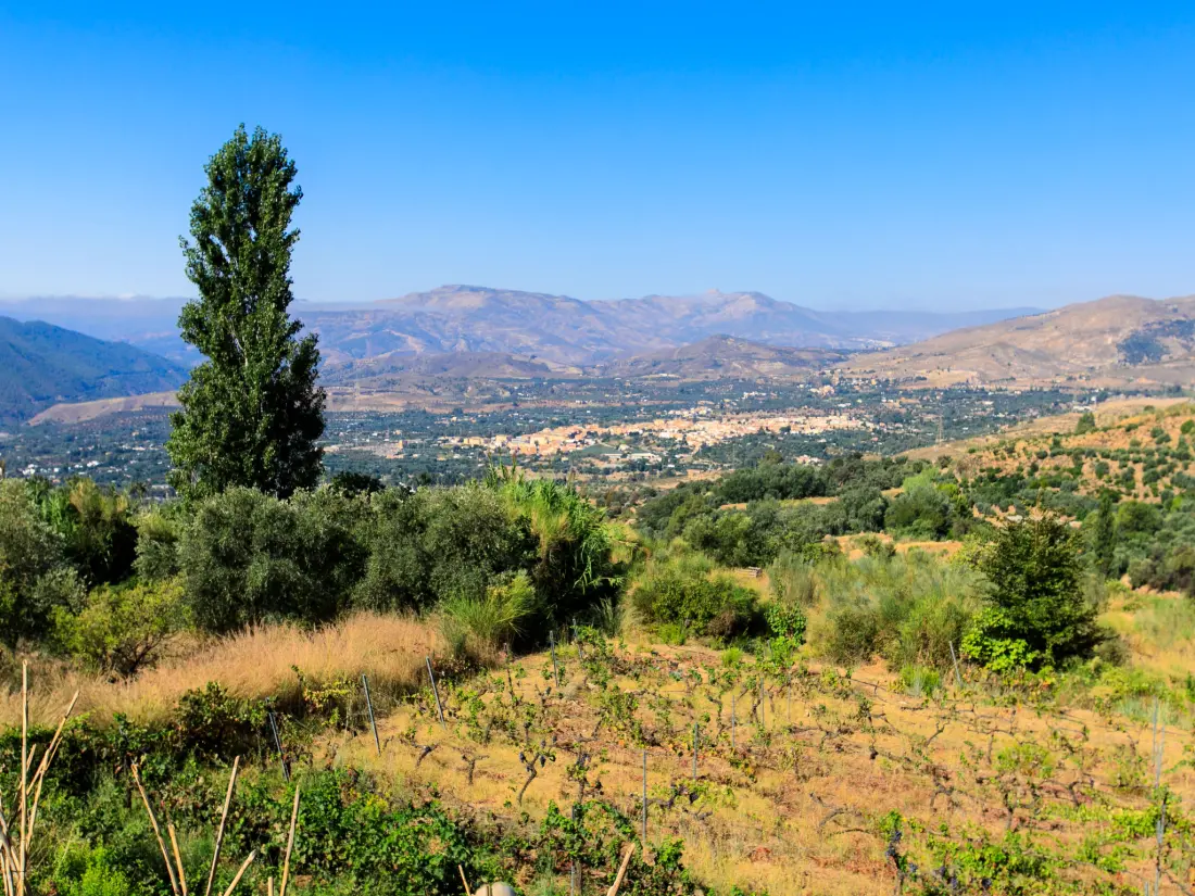 Maison de Vacances Orgiva