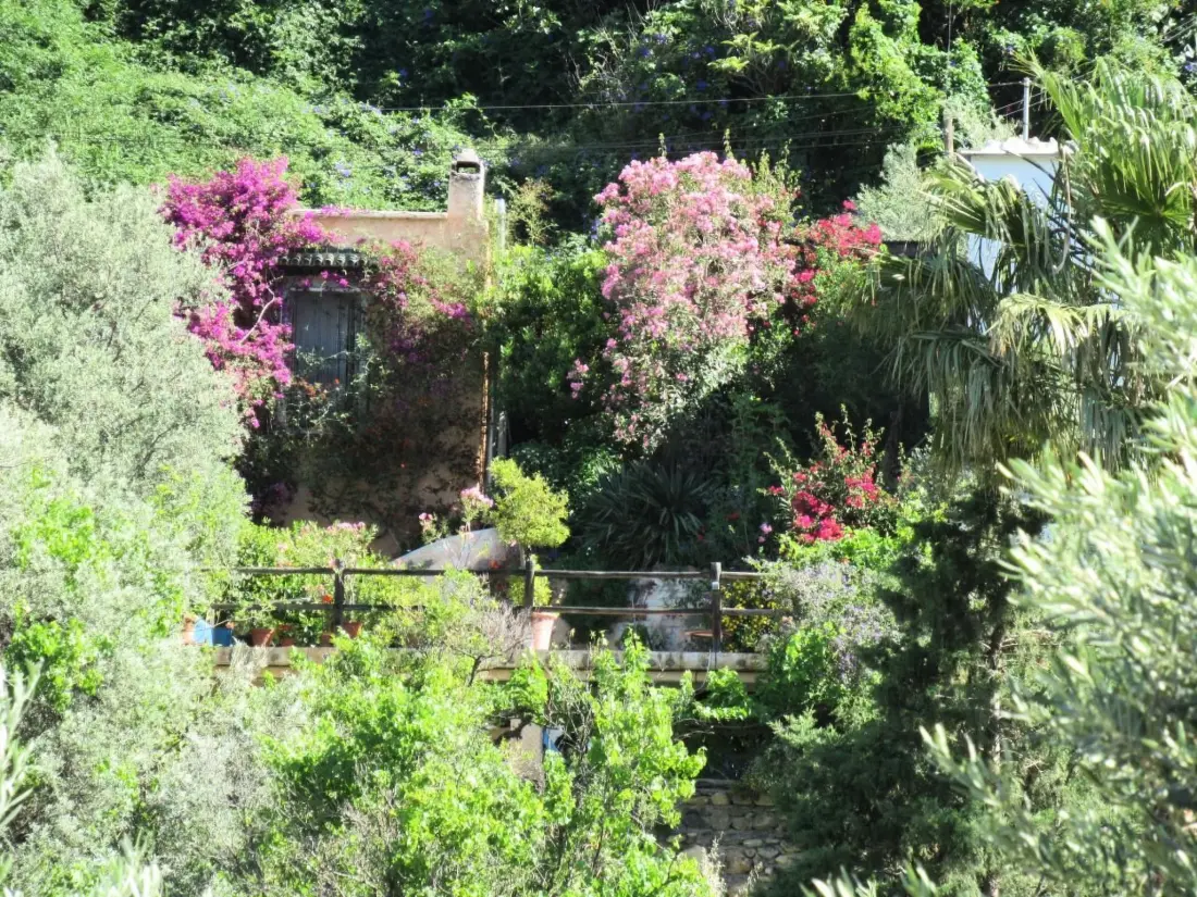 Maison de Vacances Orgiva