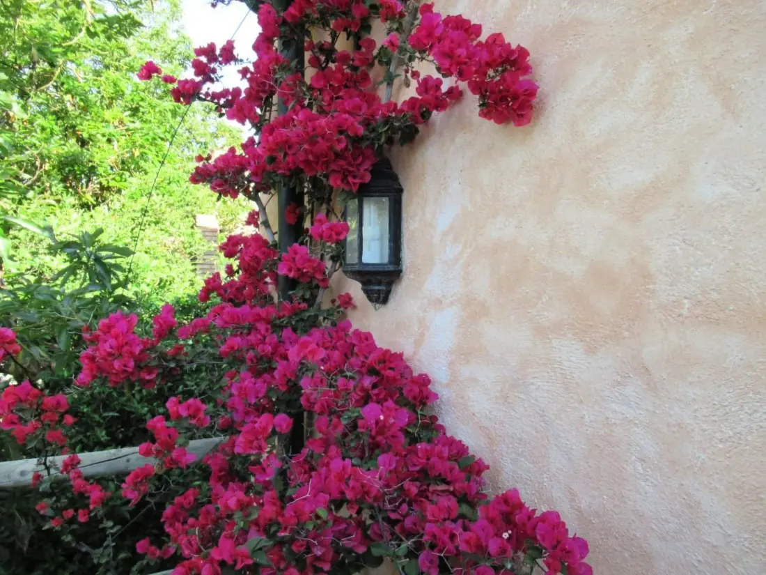 Maison de Vacances Orgiva