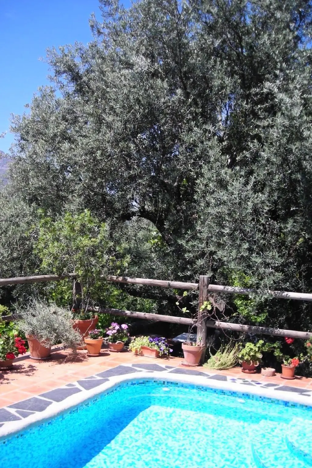 Maison de Vacances Orgiva