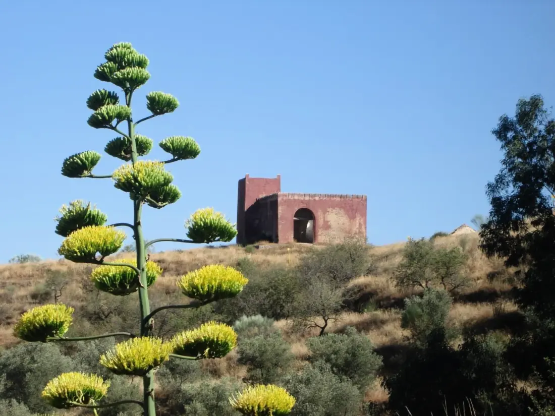 Maison de Vacances Orgiva
