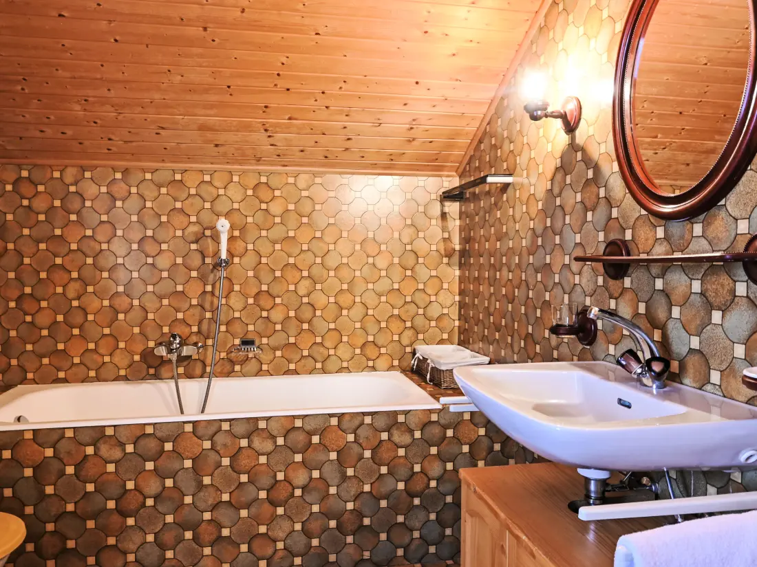 Chalet Ovronnaz