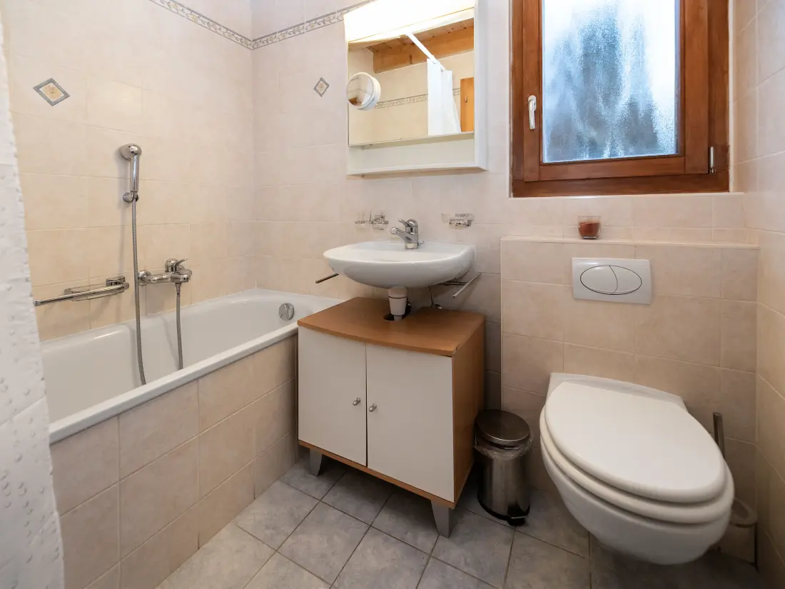 Chalet Ovronnaz