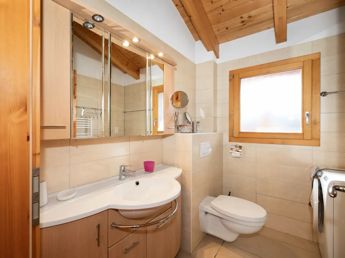 Chalet Ovronnaz