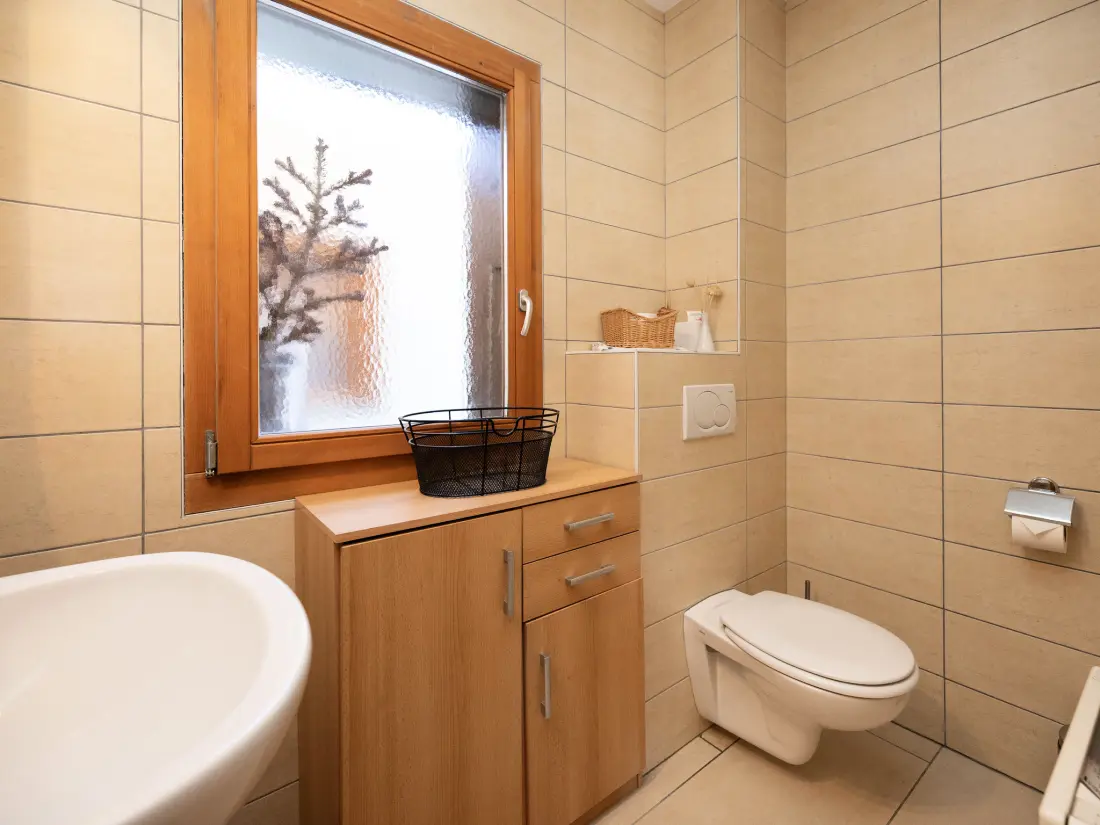 Chalet Ovronnaz
