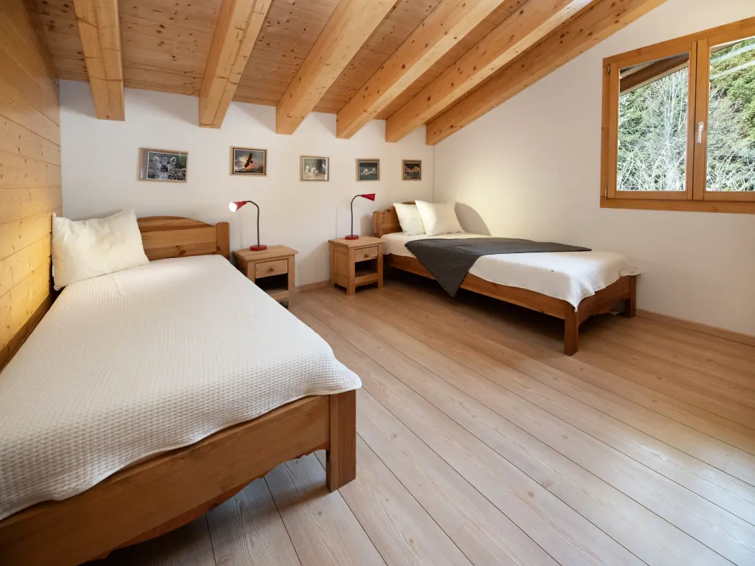Chalet Ovronnaz