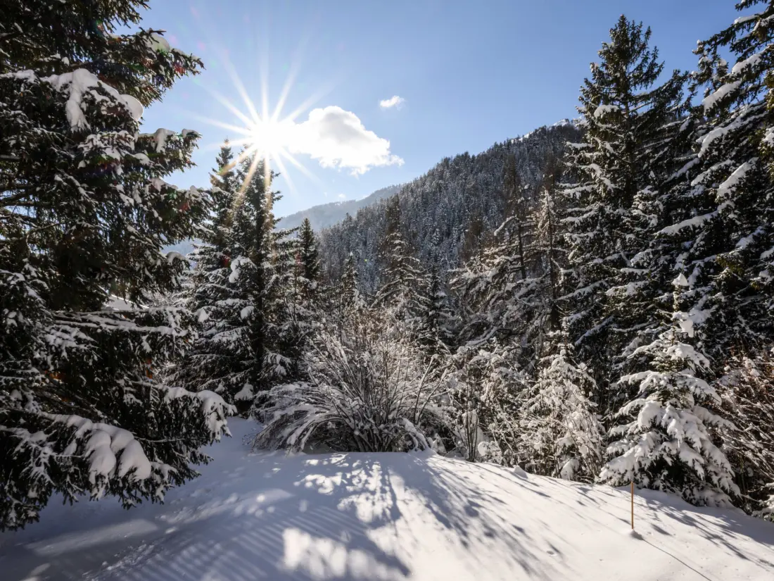 Chalet Ovronnaz