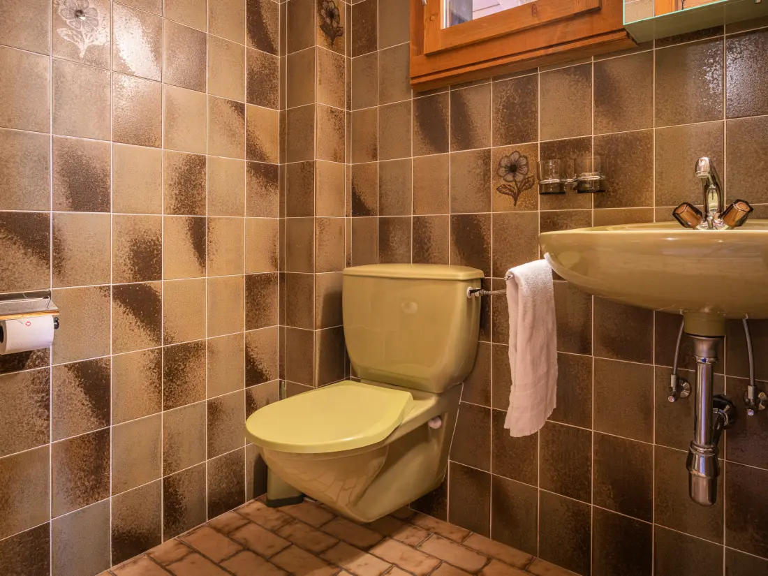 Chalet Ovronnaz