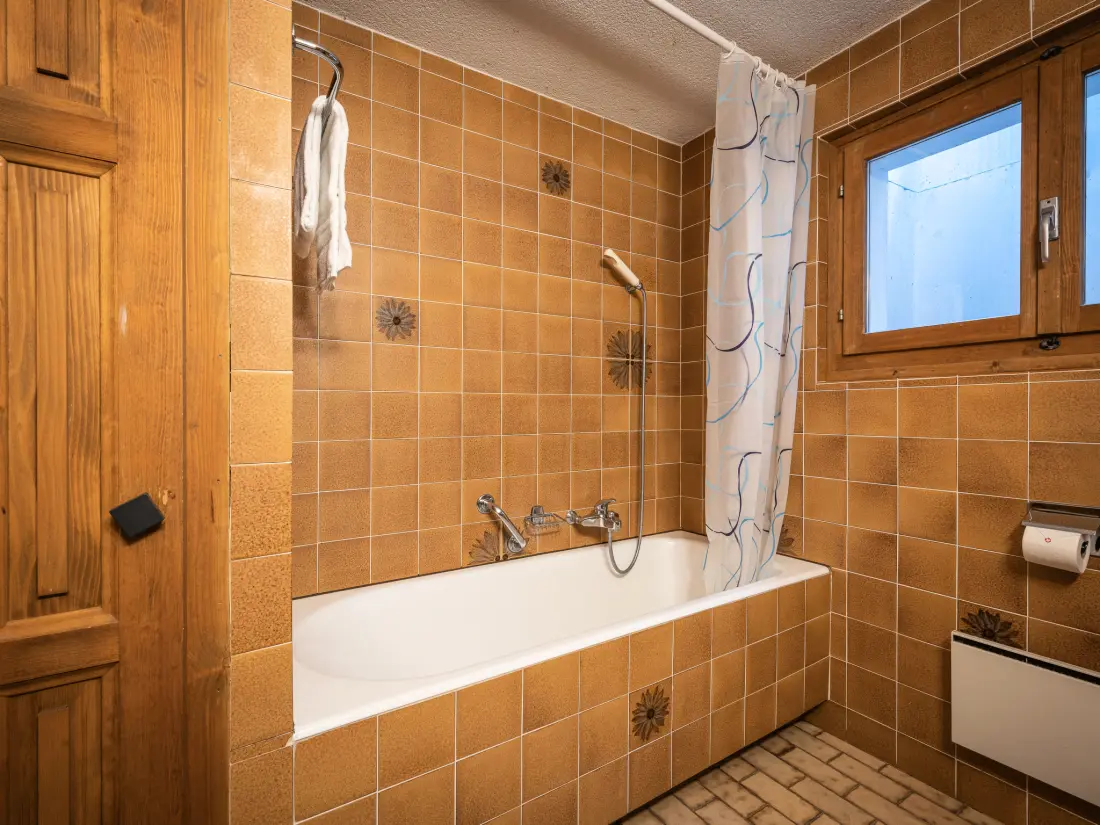 Chalet Ovronnaz