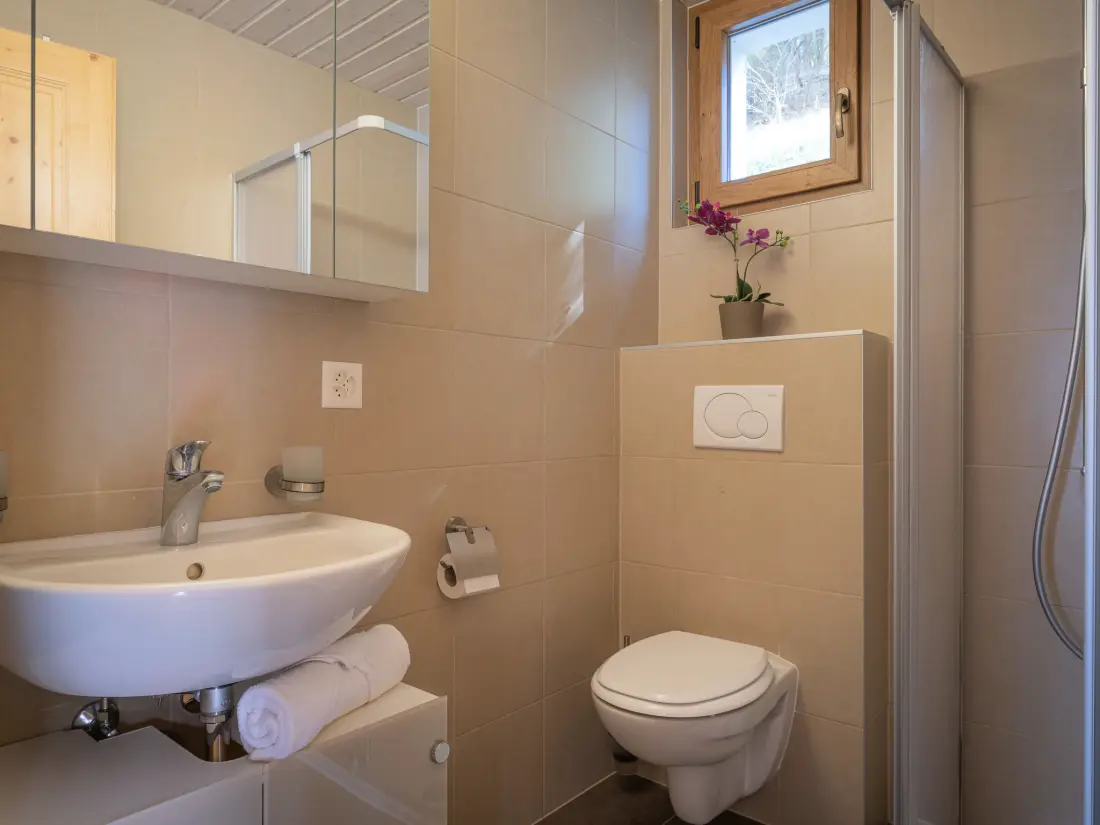 Chalet Ovronnaz