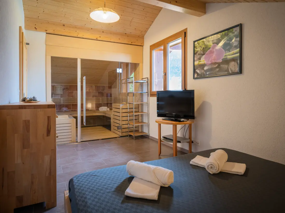 Chalet Ovronnaz
