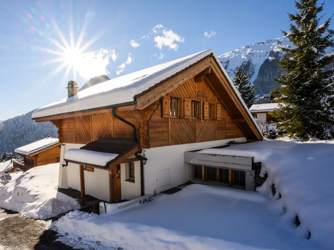 Chalet Ovronnaz