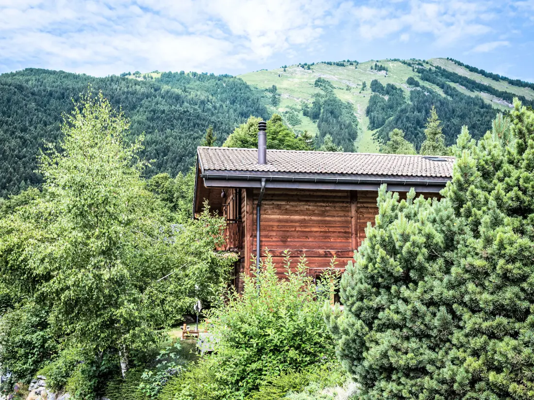 Chalet Ovronnaz