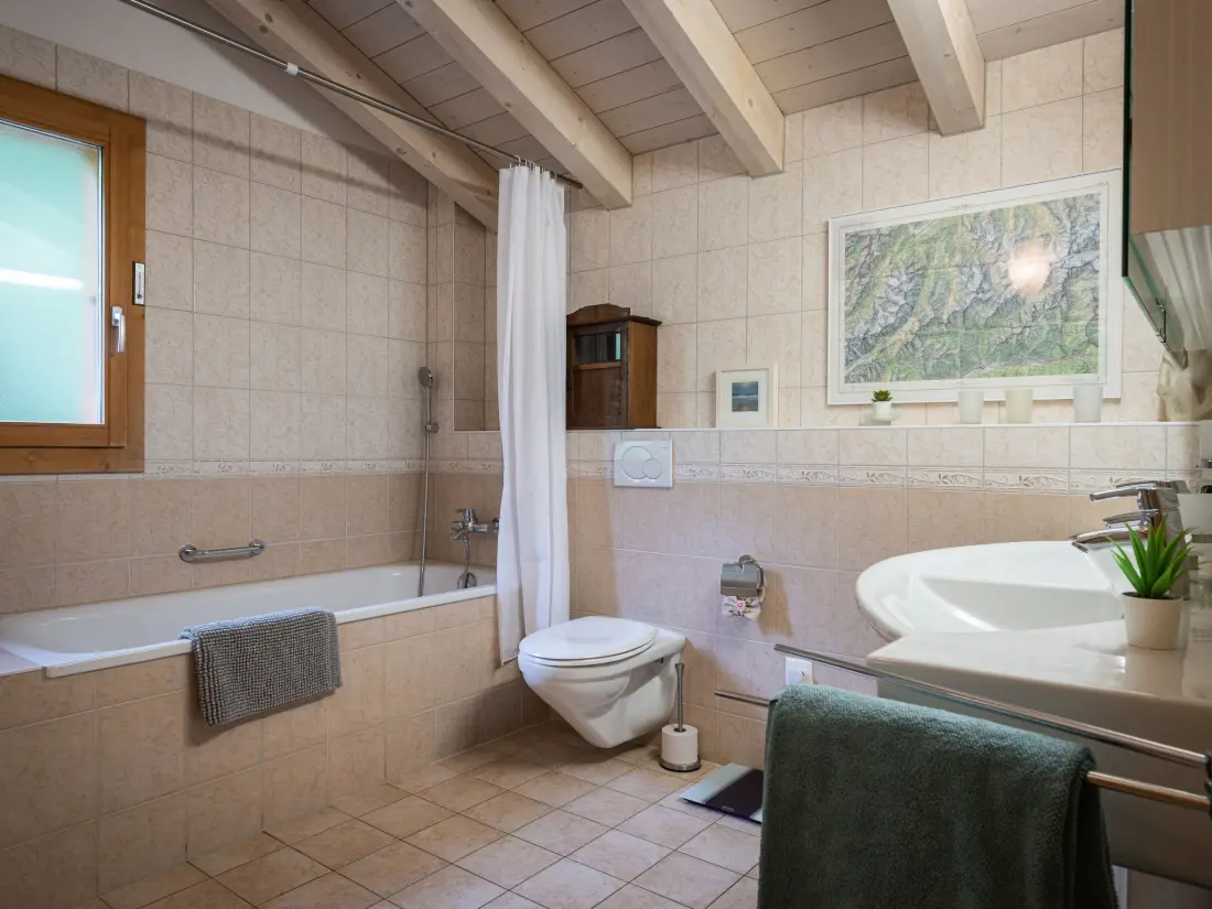 Chalet Ovronnaz