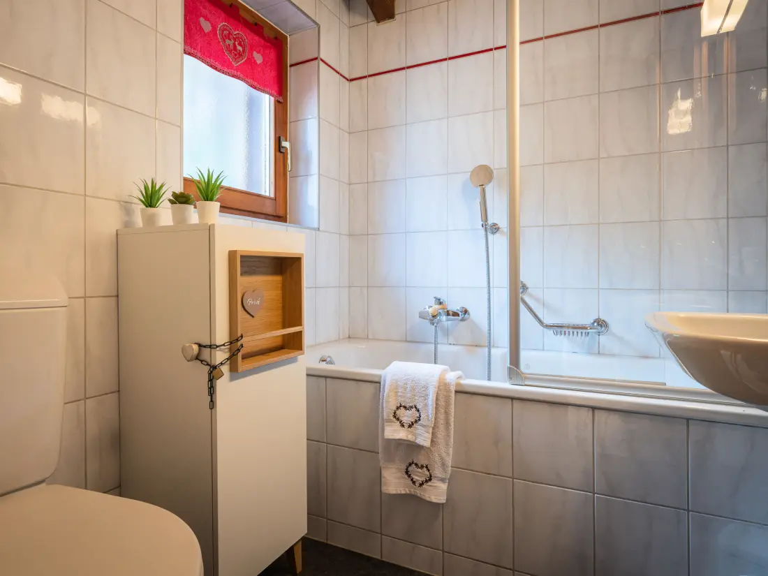 Chalet Ovronnaz