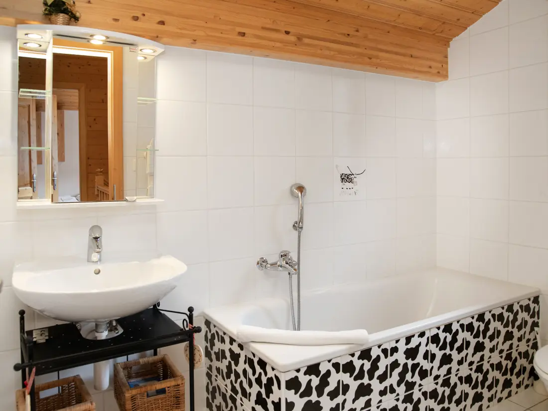 Chalet Ovronnaz