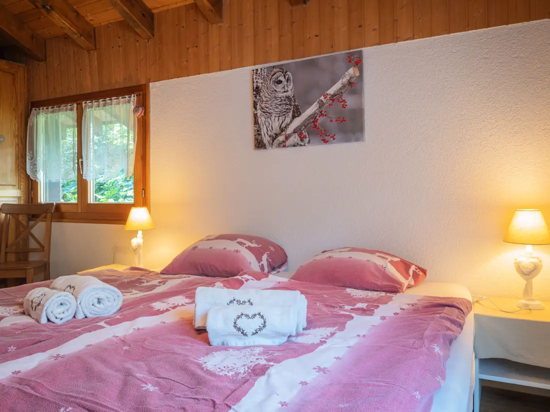Chalet Ovronnaz