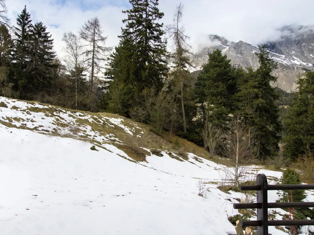 Chalet Ovronnaz