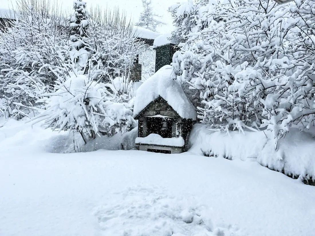 Chalet Ovronnaz