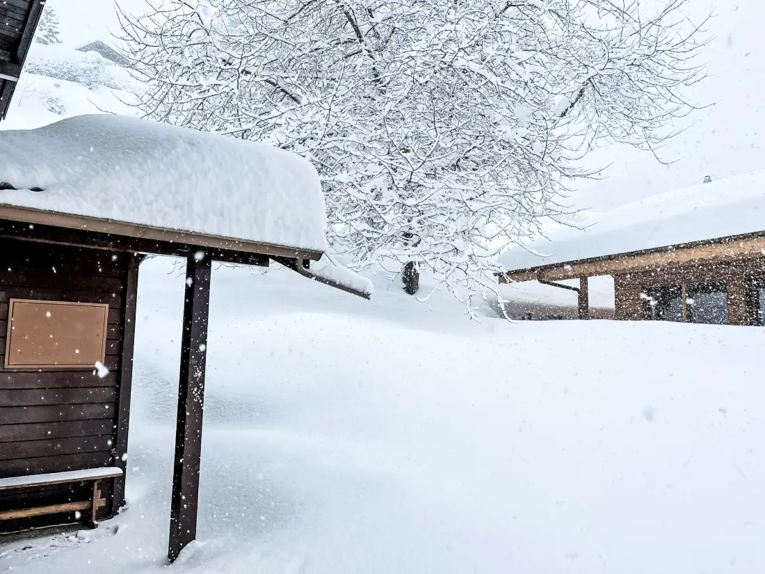 Chalet Ovronnaz