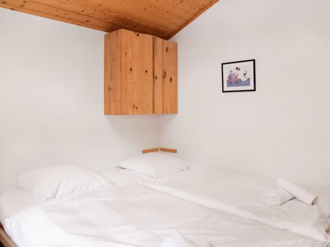Chalet Ovronnaz