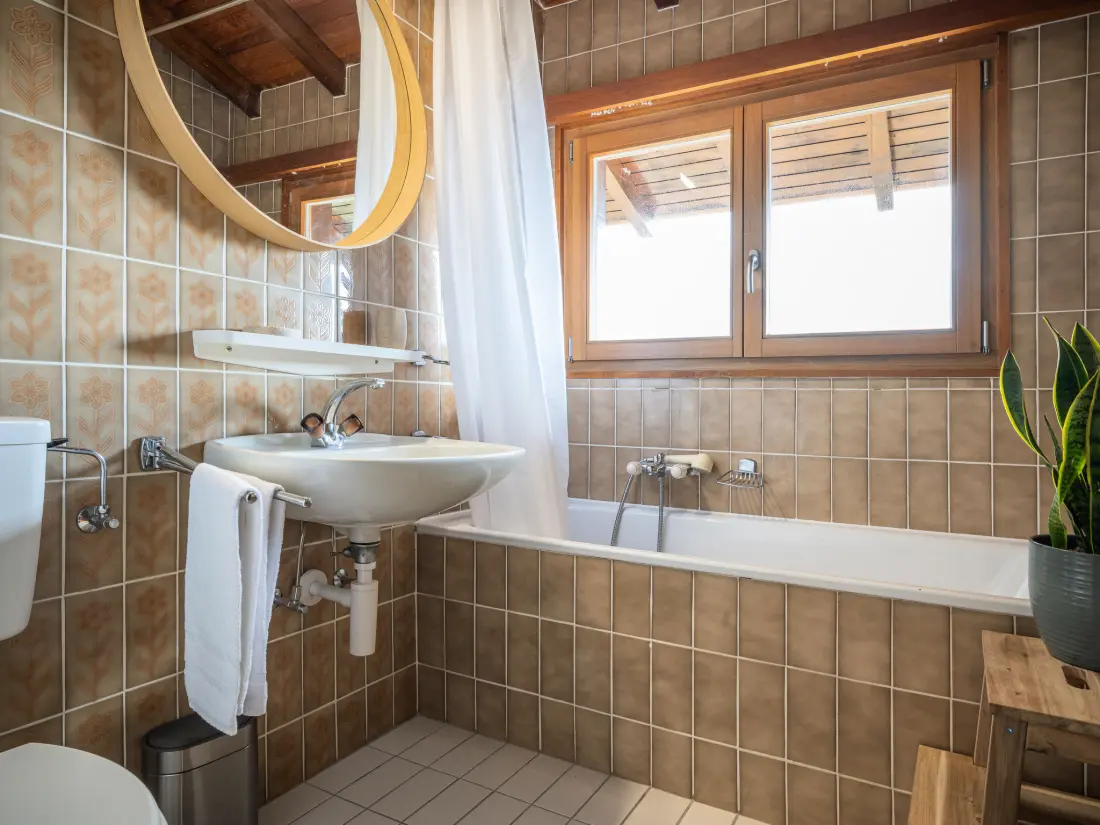Chalet Ovronnaz