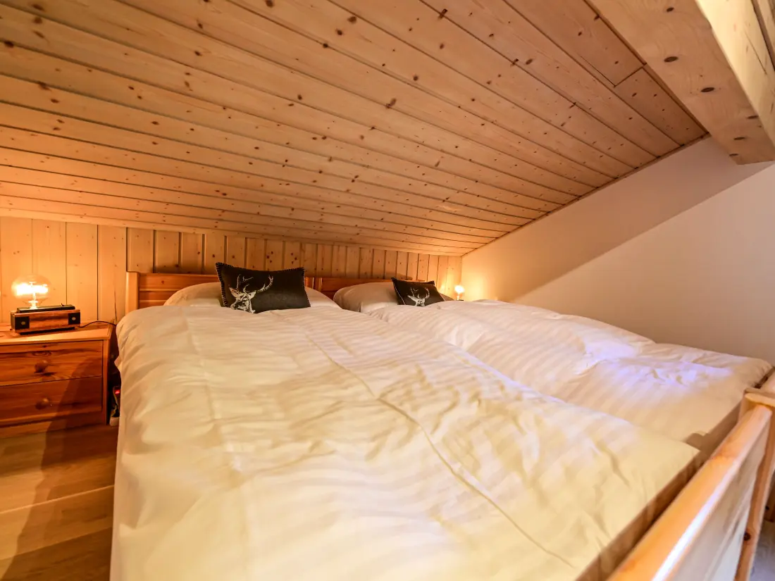 Chalet Ovronnaz