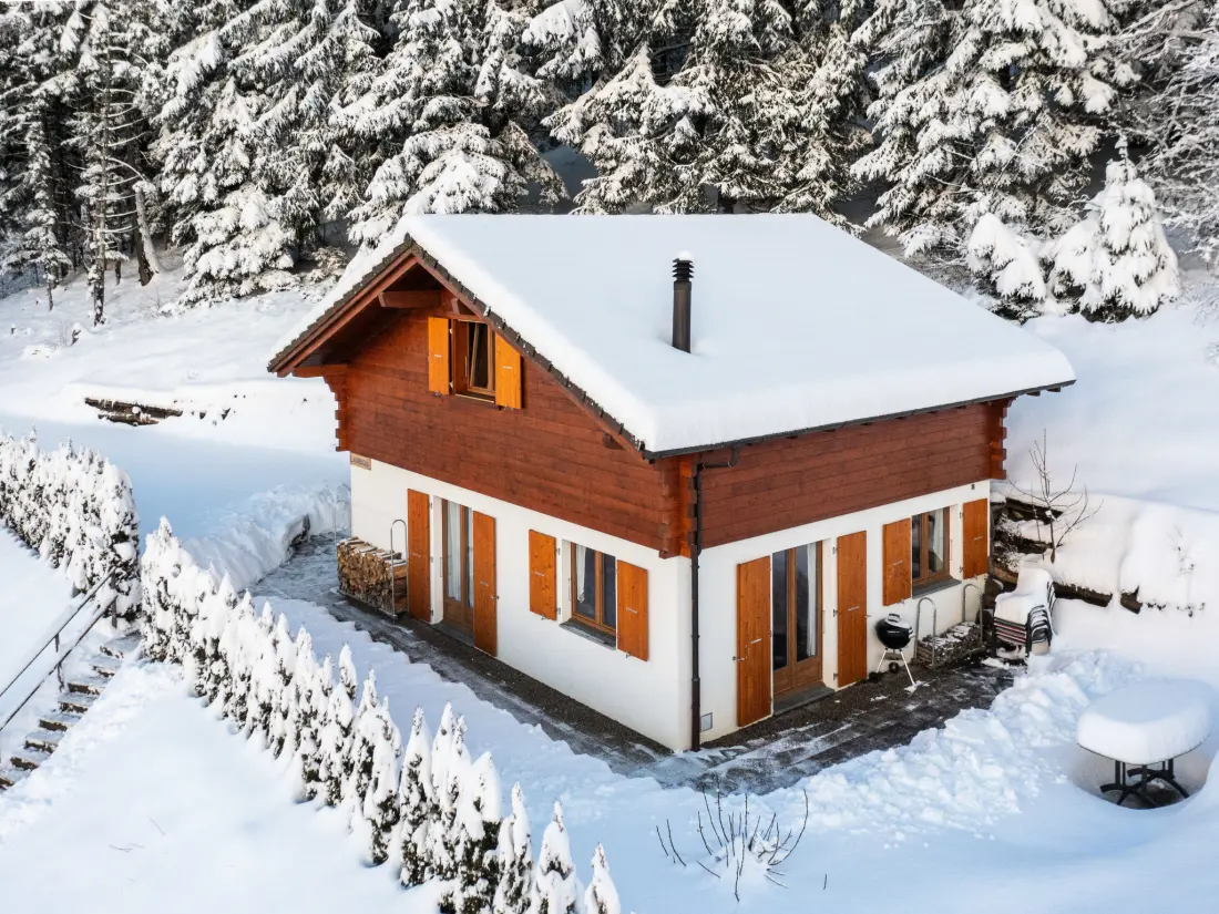 Chalet Ovronnaz