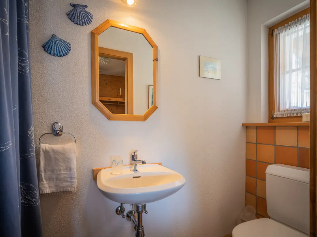 Chalet Ovronnaz
