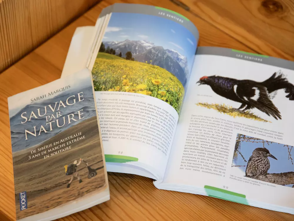 Résidence Centaure B RI 1